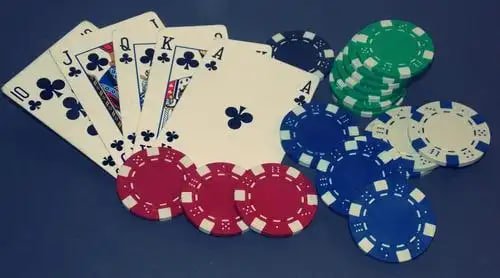 Pengalaman taruhan olahraga sepak bola dan badminton di platform mayortogel dengan tampilan mobile